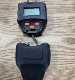 Весы Fox digital scales 60kg