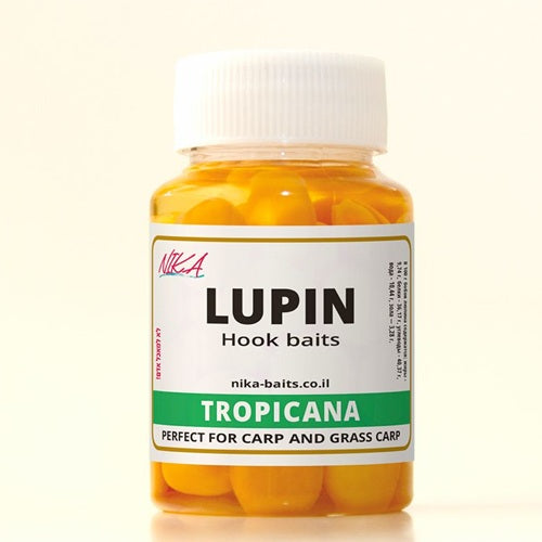 Люпин со вкусоп Тропических фруктов, Lupine בטעם פירות טרופיים
