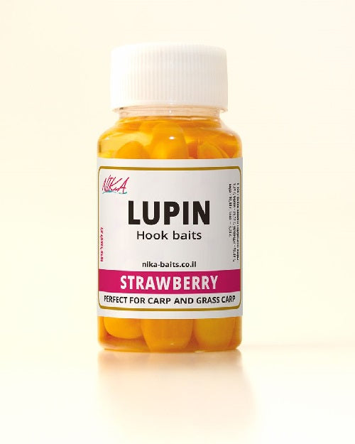 Люпин со вкусоп Клубники, Lupine בטעם תות
